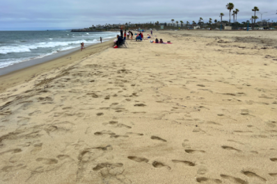 Cold Waters Beach sand in Carlsbad, California