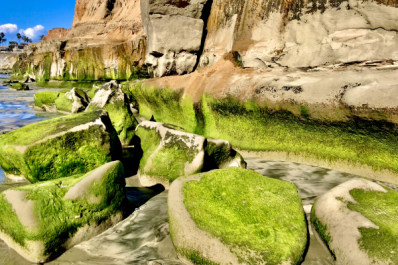 Terramar green rocks in Carlsbad, California