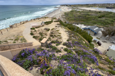 View from lookout above South Ponto Beach near Carlsbad, California