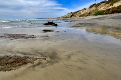 South Carlsbad State Beach at Low Tide