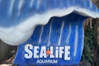 Sealife Aquarium at Legoland in Carlsbad California