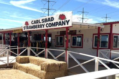 Carlsbad Strawberry Company in Carlsbad, California