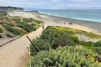 Trail from Ponto Beach parking lot in Carlsbad, California